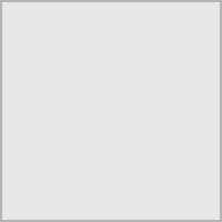 8402452 ESPATULA PLASTICA 4 (14445)